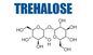 Dihydrate CAS Δ Trehalose πρόσθετων ουσιών τροφίμων Νο 6138-23-4